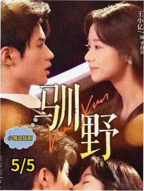国产悬疑剧节奏分析
